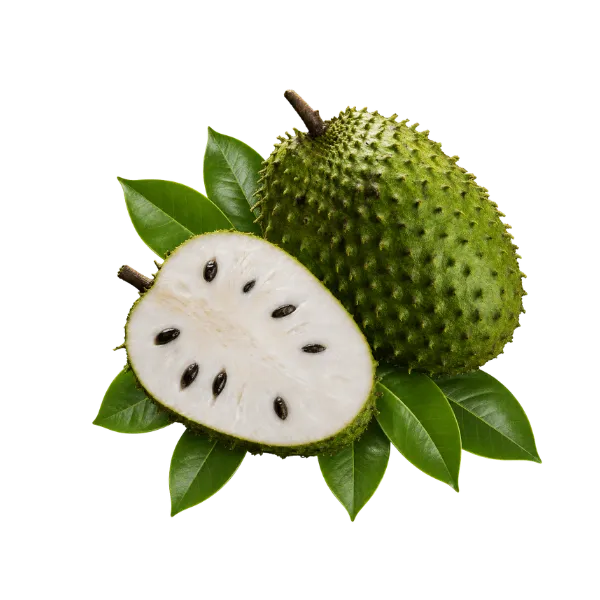 ReliefsWeb Soursop Fruit + Leaf Extract